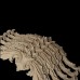 APL-19: Macho man Applique